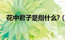 花中君子是指什么?（花中君子是指什么）