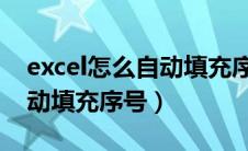 excel怎么自动填充序号1234（excel怎么自动填充序号）