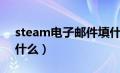 steam电子邮件填什么（steam电子邮箱是什么）