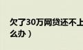 欠了30万网贷还不上怎么办（网贷还不上怎么办）