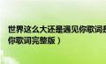 世界这么大还是遇见你歌词是什么歌（世界这么大还是遇见你歌词完整版）