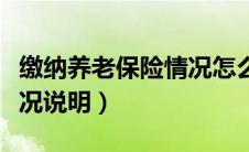 缴纳养老保险情况怎么填写（缴纳养老保险情况说明）