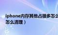 iphone内存其他占很多怎么清理（苹果内存其他占了好多怎么清理）