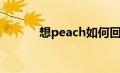 想peach如何回复（想peach）