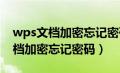 wps文档加密忘记密码怎么办docx（wps文档加密忘记密码）