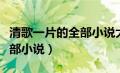 清歌一片的全部小说大药天香（清歌一片的全部小说）