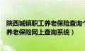 陕西城镇职工养老保险查询个人账户查询系统（陕西省职工养老保险网上查询系统）