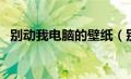 别动我电脑的壁纸（别动我电脑桌面壁纸）