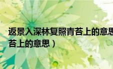 返景入深林复照青苔上的意思返的意思（返景入深林复照青苔上的意思）