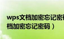 wps文档加密忘记密码怎么办docx（wps文档加密忘记密码）