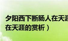 夕阳西下断肠人在天涯全诗（夕阳西下断肠人在天涯的赏析）