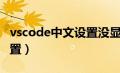 vscode中文设置没显示中文（vscode中文设置）