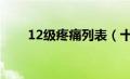 12级疼痛列表（十二级疼痛等级表）