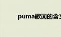 puma歌词的含义（puma歌词）