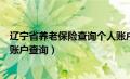 辽宁省养老保险查询个人账户查询（辽宁养老保险查询个人账户查询）