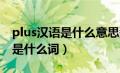 plus汉语是什么意思翻译（PLUs翻译成中文是什么词）