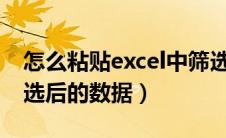 怎么粘贴excel中筛选出的数据（怎么粘贴筛选后的数据）