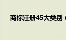 商标注册45大类别（商标注册45大类）