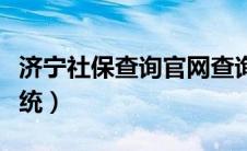 济宁社保查询官网查询（济宁社保网上查询系统）