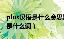 plus汉语是什么意思翻译（PLUs翻译成中文是什么词）