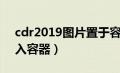 cdr2019图片置于容器内（cdr2019图片置入容器）