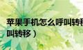 苹果手机怎么呼叫转移不了（苹果手机怎么呼叫转移）