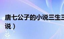 唐七公子的小说三生三世系列（唐七公子的小说）