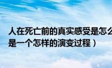 人在死亡前的真实感受是怎么样的（人死后在棺材里身体会是一个怎样的演变过程）