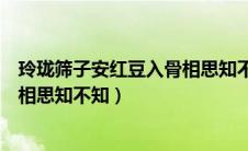 玲珑筛子安红豆入骨相思知不知小说（玲珑筛子安红豆入骨相思知不知）