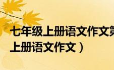 七年级上册语文作文第六单元600字（七年级上册语文作文）