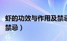 虾的功效与作用及禁忌症（虾的功效与作用及禁忌）