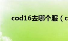 cod16去哪个服（cod16在哪个平台）