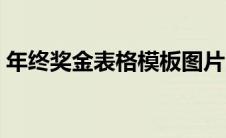 年终奖金表格模板图片（年终奖金表格模板）