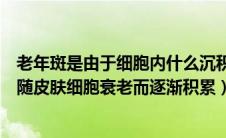 老年斑是由于细胞内什么沉积（老年斑的形成是因为黑色素随皮肤细胞衰老而逐渐积累）