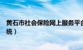 黄石市社会保险网上服务平台（黄石市社会保险网上申报系统）