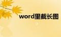 word里截长图（word截长图）