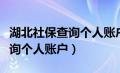 湖北社保查询个人账户查询系统（湖北社保查询个人账户）