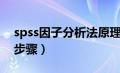 spss因子分析法原理（spss因子分析法详细步骤）