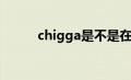 chigga是不是在骂人（chigga）