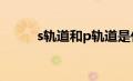 s轨道和p轨道是什么意思（sgu）