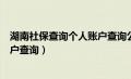 湖南社保查询个人账户查询公众号（湖南省社保查询个人账户查询）