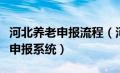 河北养老申报流程（河北省企业养老保险网上申报系统）