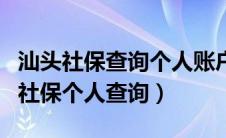 汕头社保查询个人账户缴费明细查询（汕头市社保个人查询）