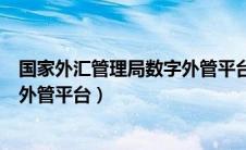 国家外汇管理局数字外管平台asone（国家外汇管理局数字外管平台）