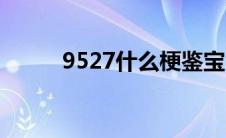 9527什么梗鉴宝（9527什么梗）