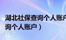 湖北社保查询个人账户查询系统（湖北社保查询个人账户）