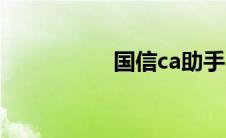 国信ca助手（国信ca）