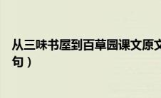 从三味书屋到百草园课文原文（从百草园到三味书屋好词好句）