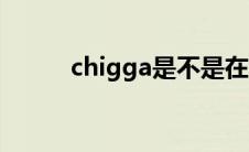 chigga是不是在骂人（chigga）