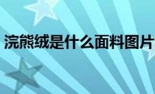 浣熊绒是什么面料图片（浣熊绒是什么面料）